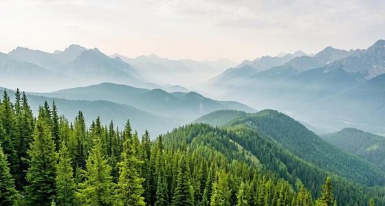 Forested mountains.