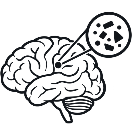 A brain with plastic fragments magnified.