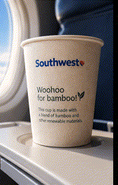 The bamboo cup with its outer layer peeling away to reveal the plastic lining inside.